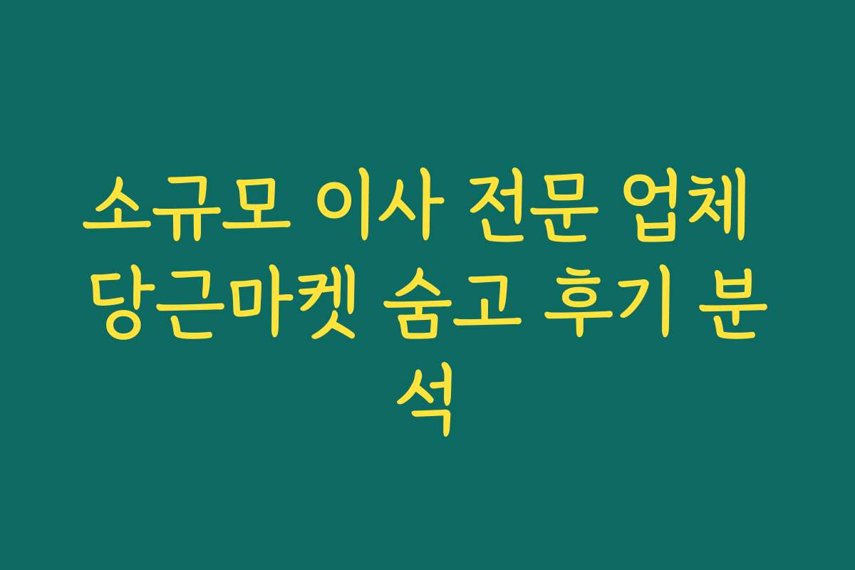 소규모 이사 전문 업체 당근마켓 숨고 후기 분석