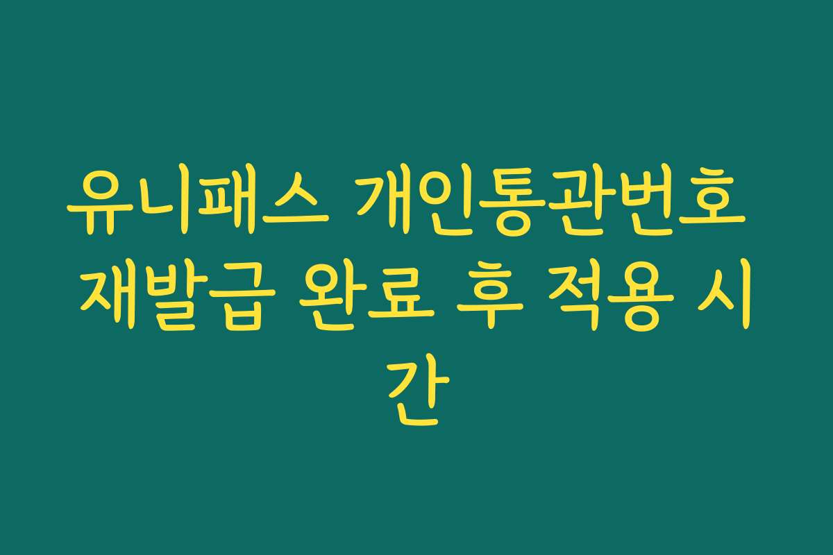 유니패스 개인통관번호 재발급 완료 후 적용 시간