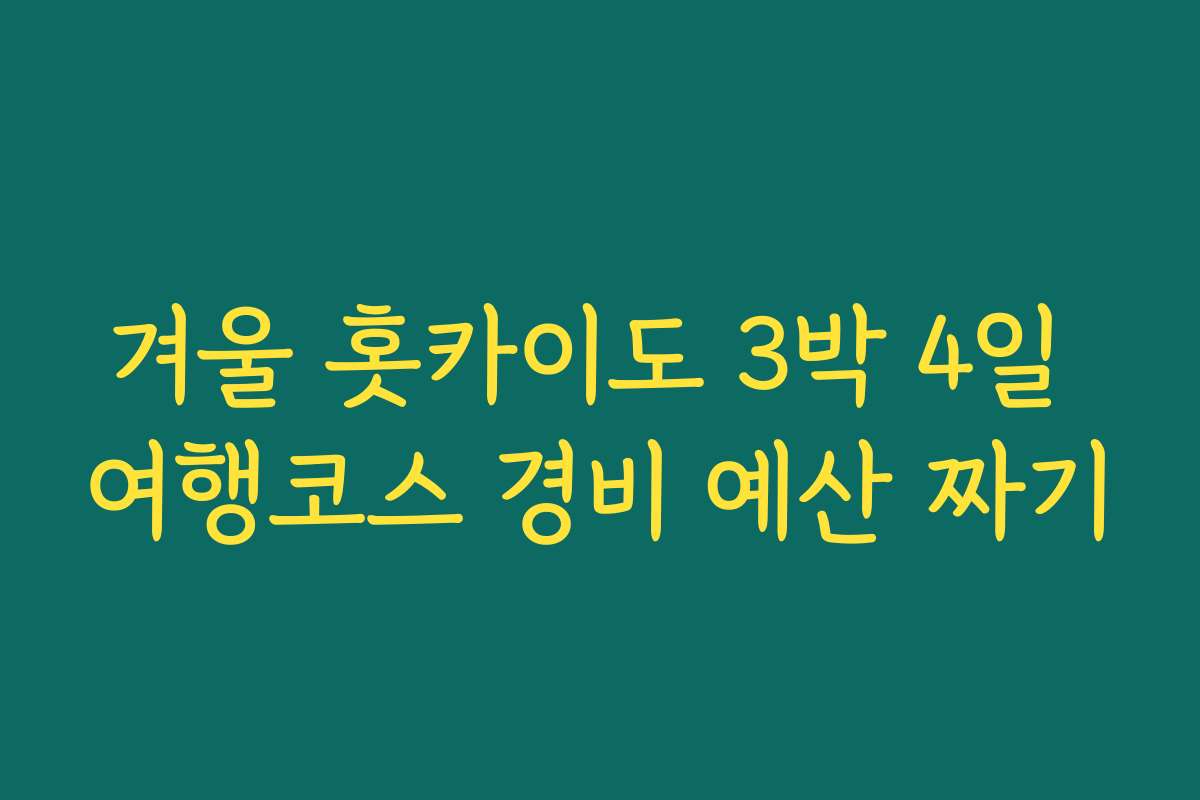 겨울 홋카이도 3박 4일 여행코스 경비 예산 짜기