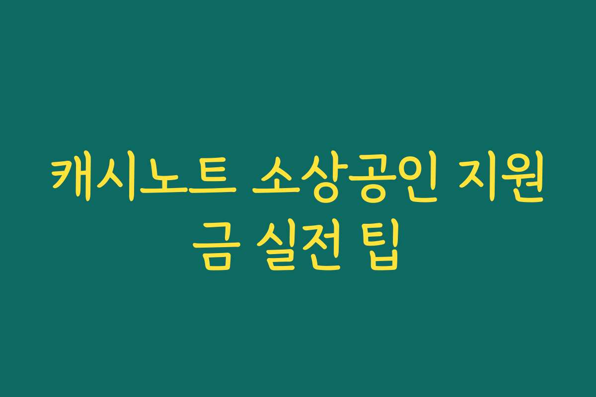 캐시노트 소상공인 지원금 실전 팁