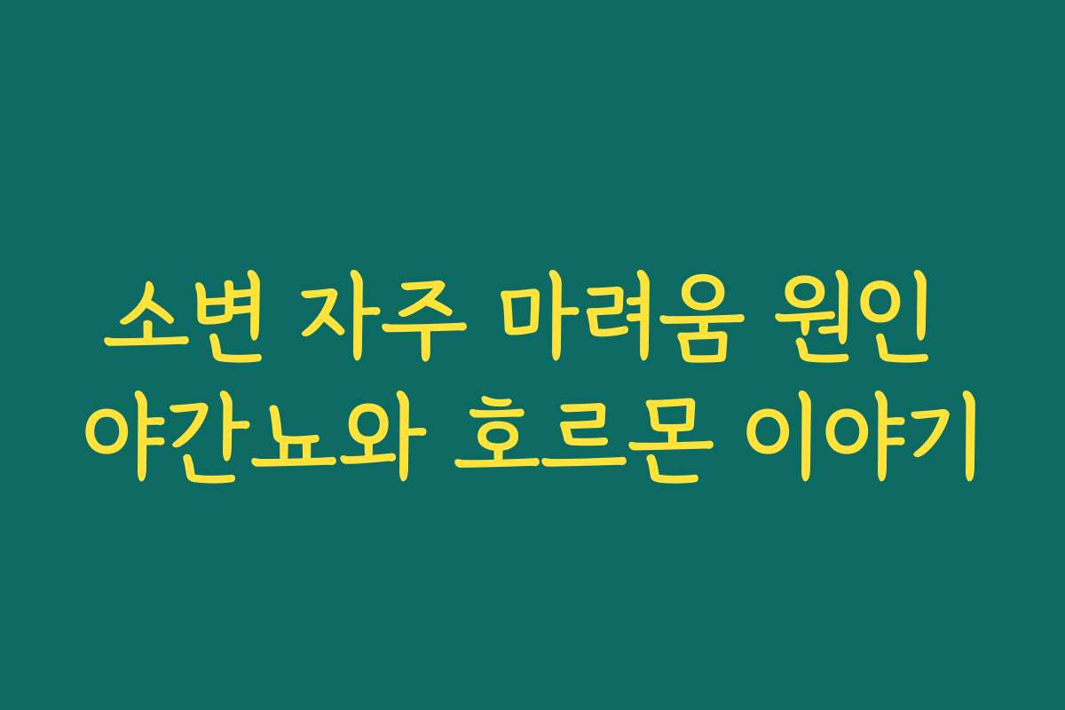 소변 자주 마려움 원인 야간뇨와 호르몬 이야기