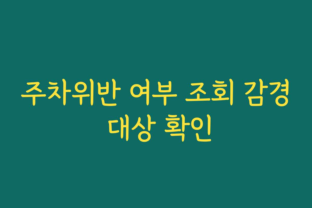 주차위반 여부 조회 감경 대상 확인