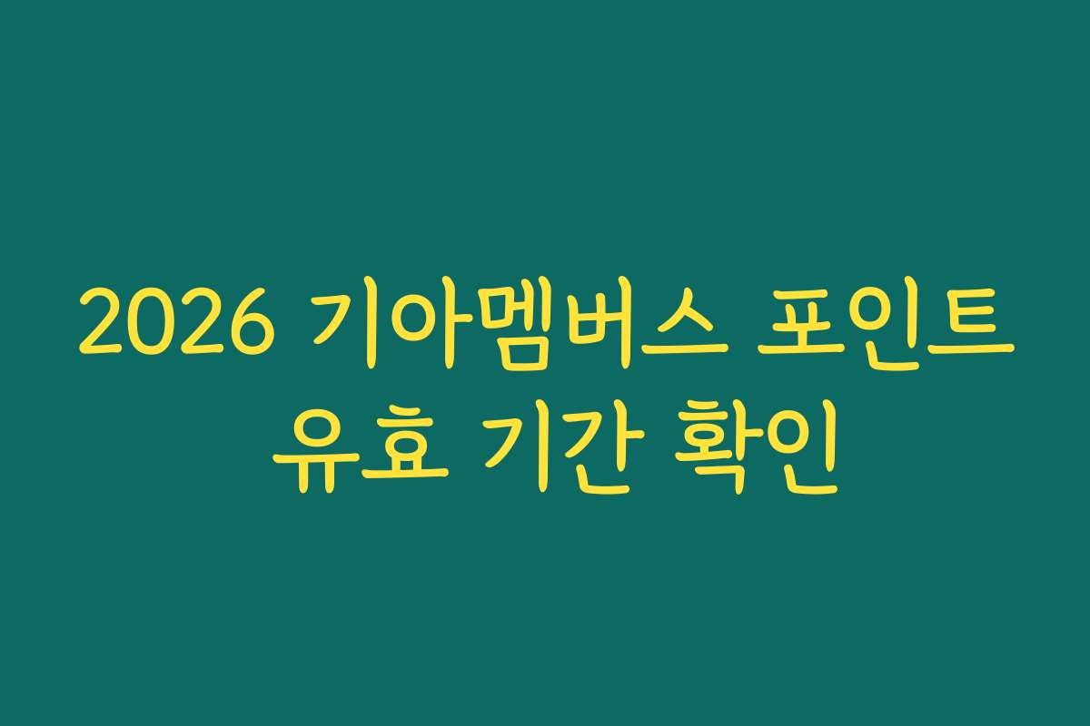 2026 기아멤버스 포인트 유효 기간 확인