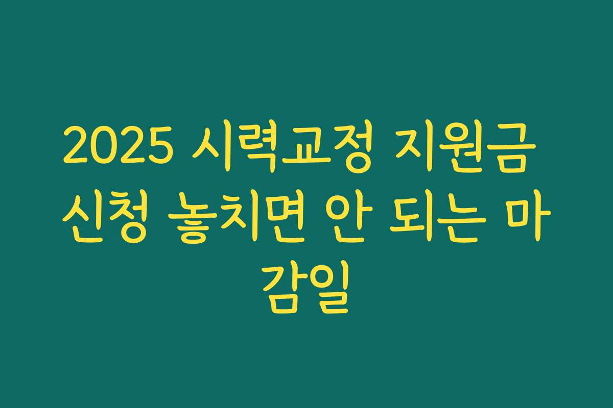 2025 시력교정 지원금 신청 놓치면 안 되는 마감일