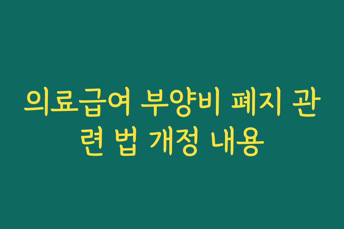 의료급여 부양비 폐지 관련 법 개정 내용