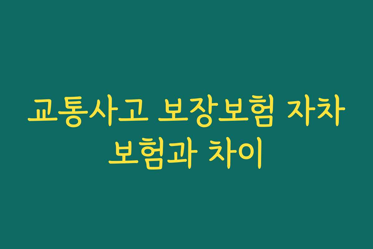 교통사고 보장보험 자차보험과 차이