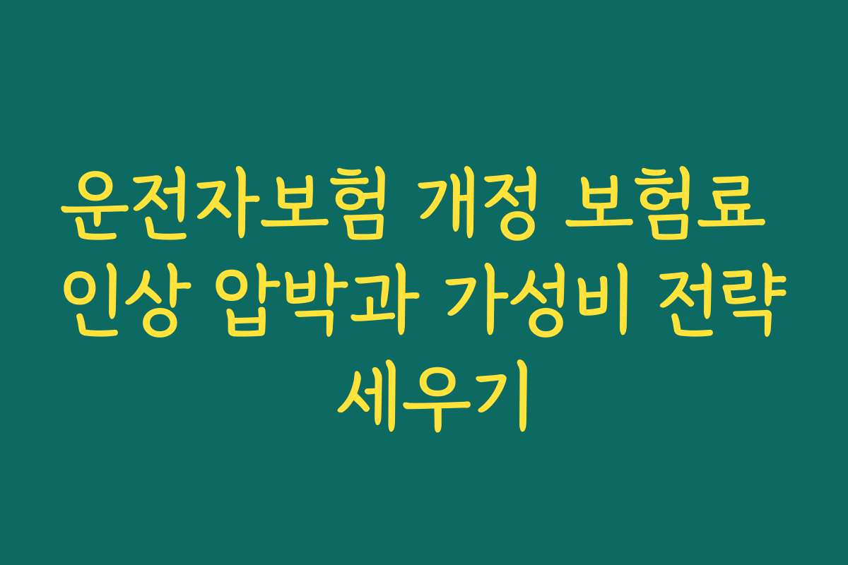 운전자보험 개정 보험료 인상 압박과 가성비 전략 세우기