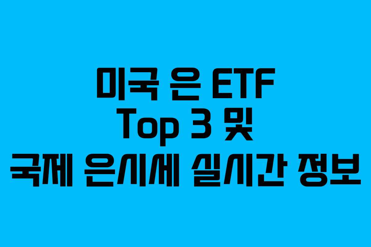 미국 은 ETF Top 3 및 국제 은시세 실시간 정보