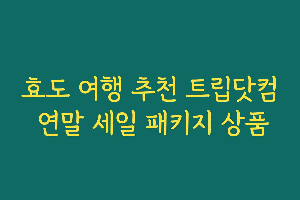 효도 여행 추천 트립닷컴 연말 세일 패키지 상품