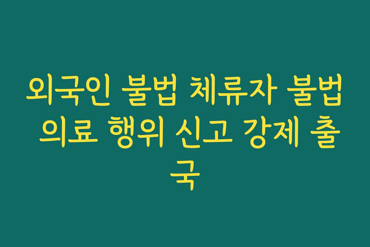 외국인 불법 체류자 불법 의료 행위 신고 강제 출국