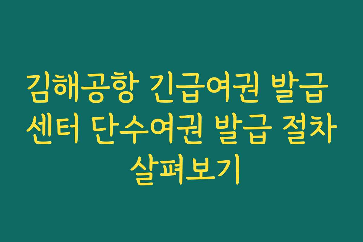 김해공항 긴급여권 발급 센터 단수여권 발급 절차 살펴보기