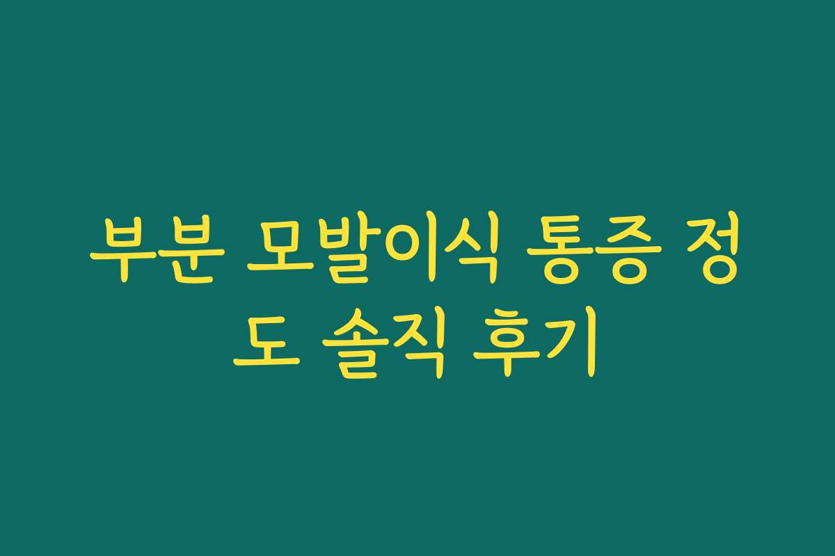 부분 모발이식 통증 정도 솔직 후기