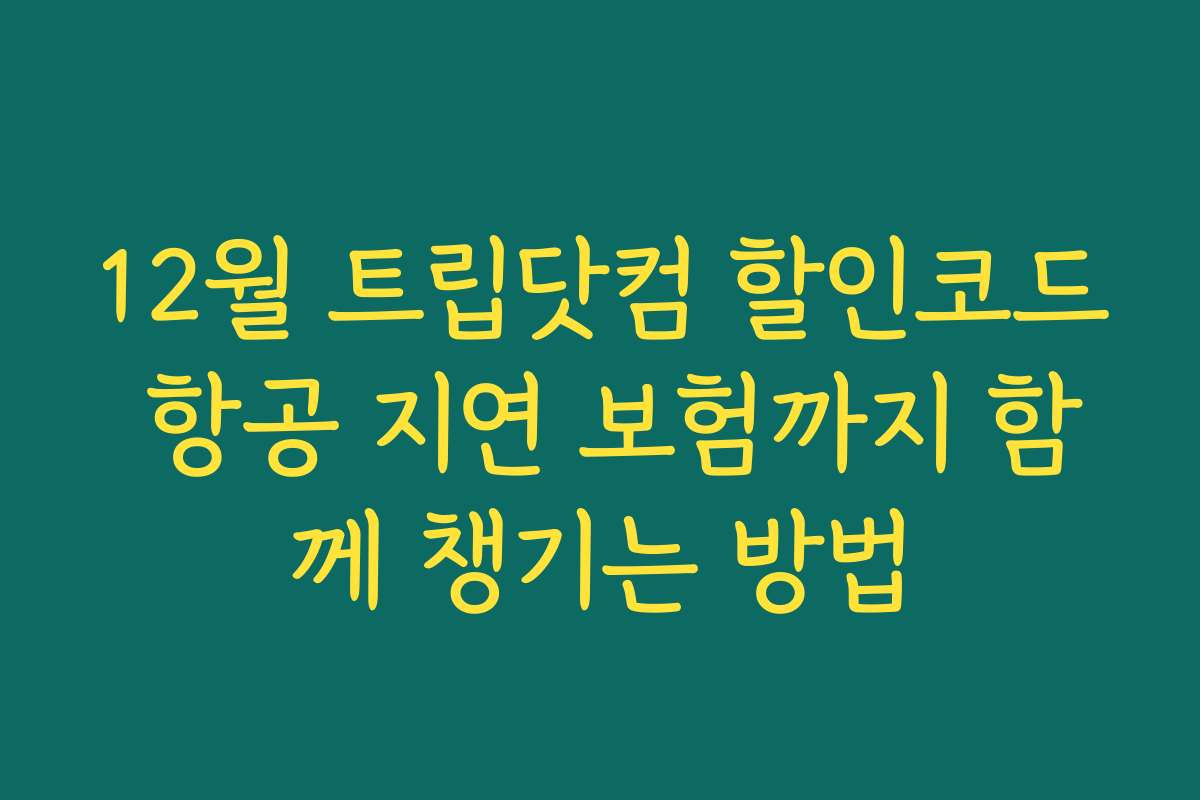12월 트립닷컴 할인코드 항공 지연 보험까지 함께 챙기는 방법