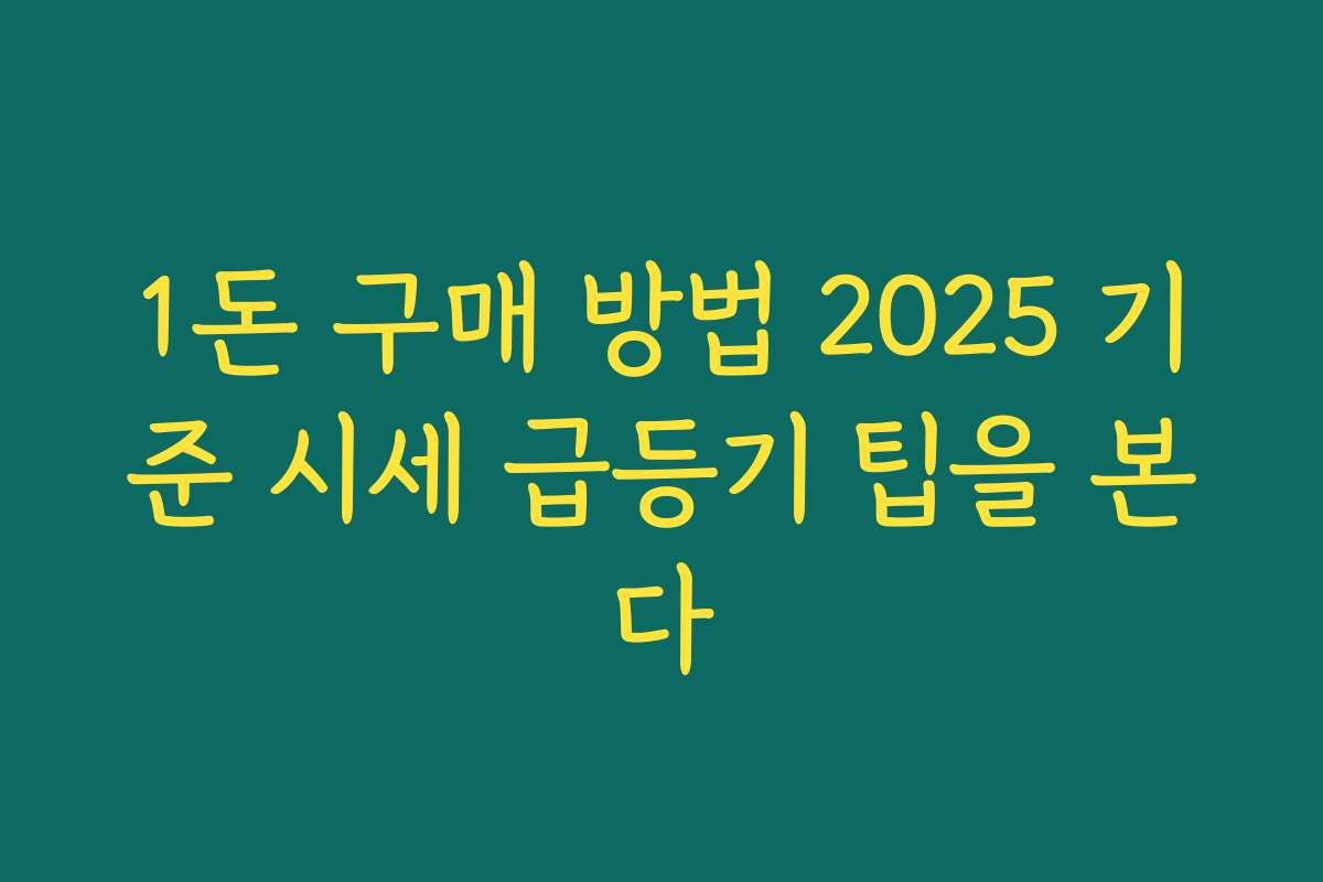 1돈 구매 방법 2025 기준 시세 급등기 팁을 본다