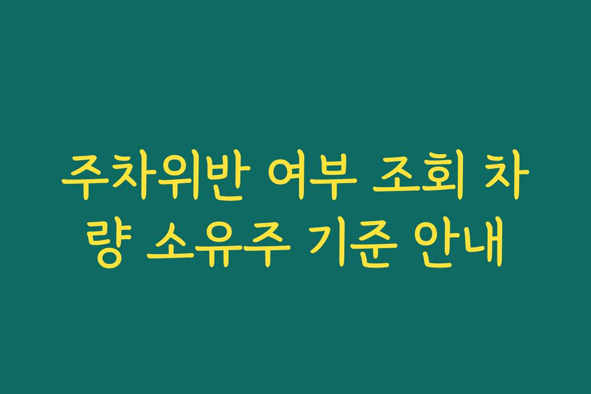 주차위반 여부 조회 차량 소유주 기준 안내