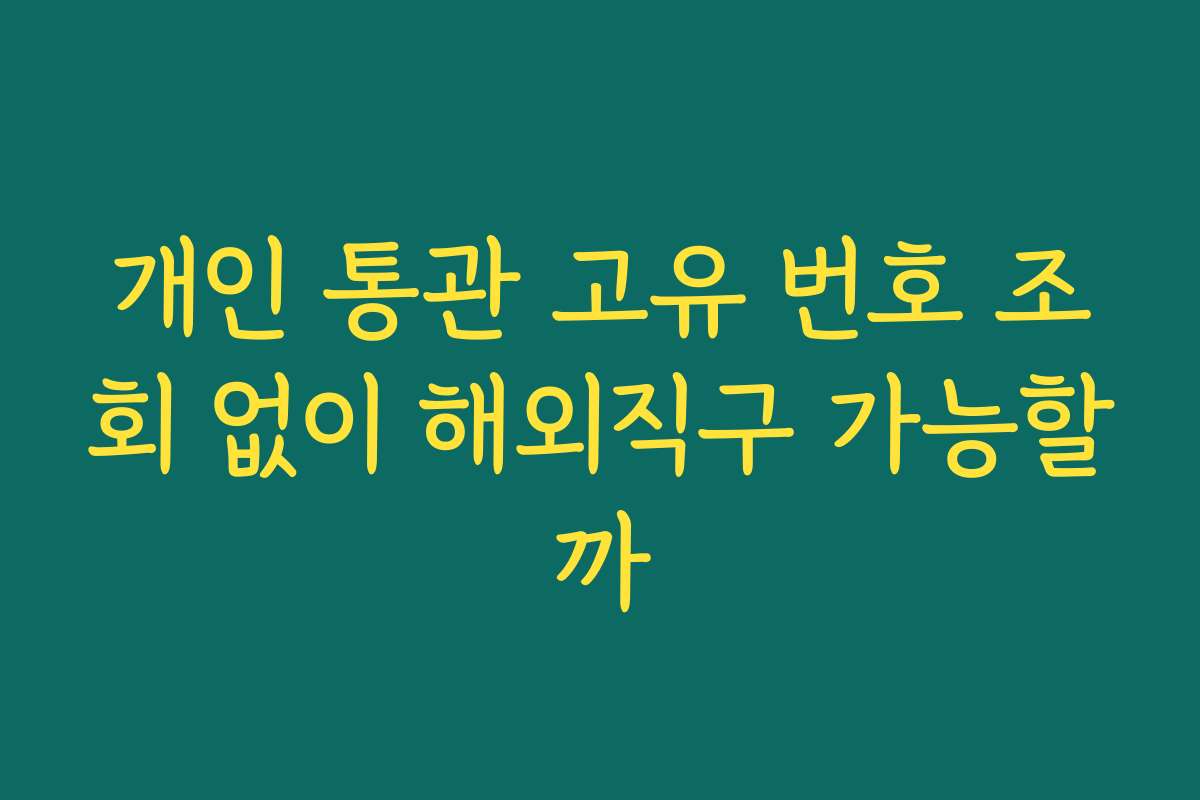 개인 통관 고유 번호 조회 없이 해외직구 가능할까