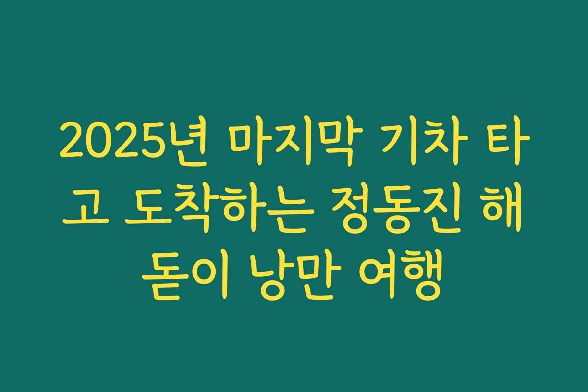 2025년 마지막 기차 타고 도착하는 정동진 해돋이 낭만 여행