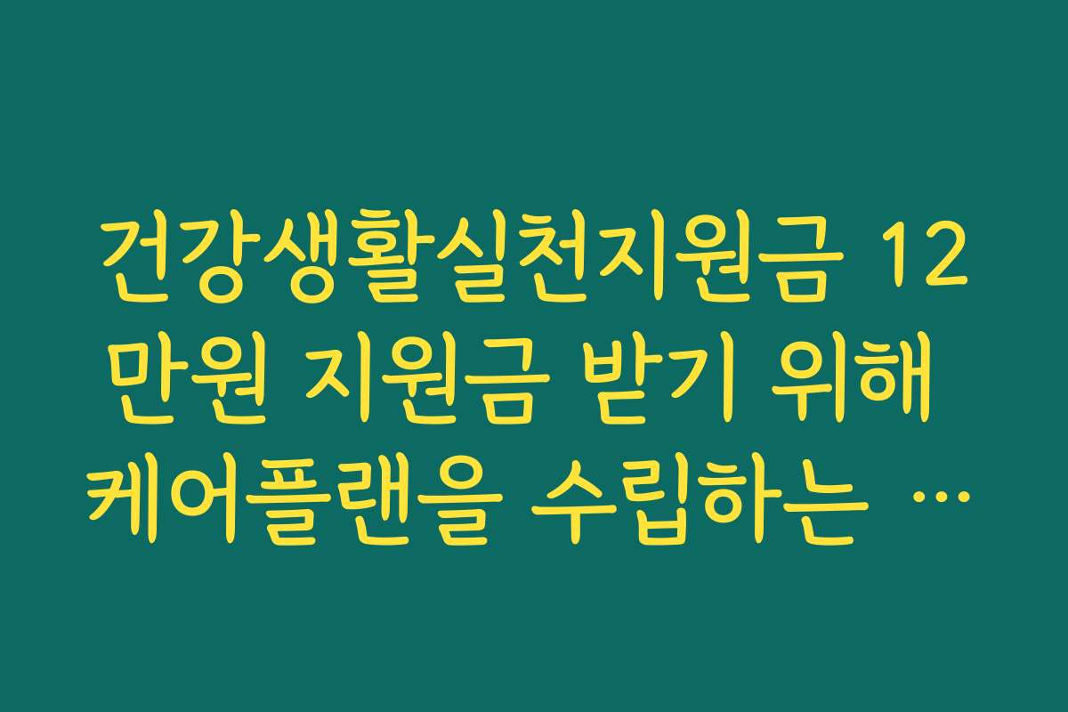 건강생활실천지원금 12만원 지원금 받기 위해 케어플랜을 수립하는 관리형 절차