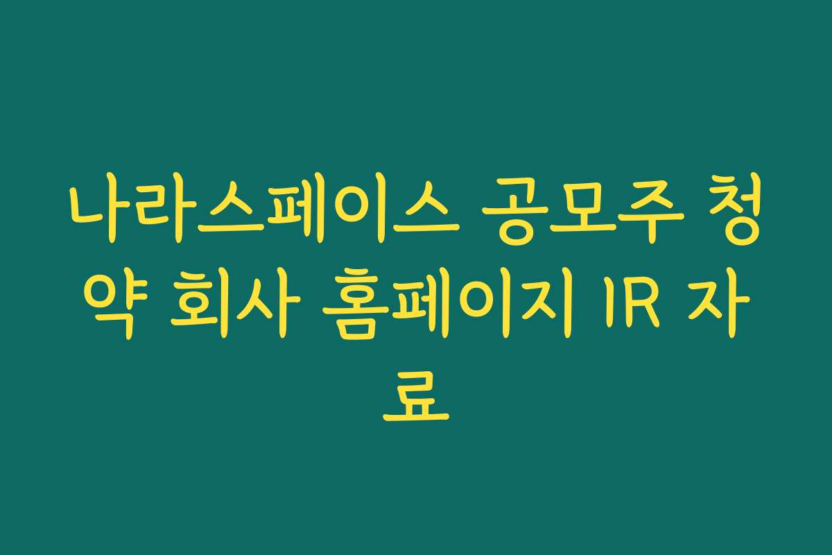 나라스페이스 공모주 청약 회사 홈페이지 IR 자료