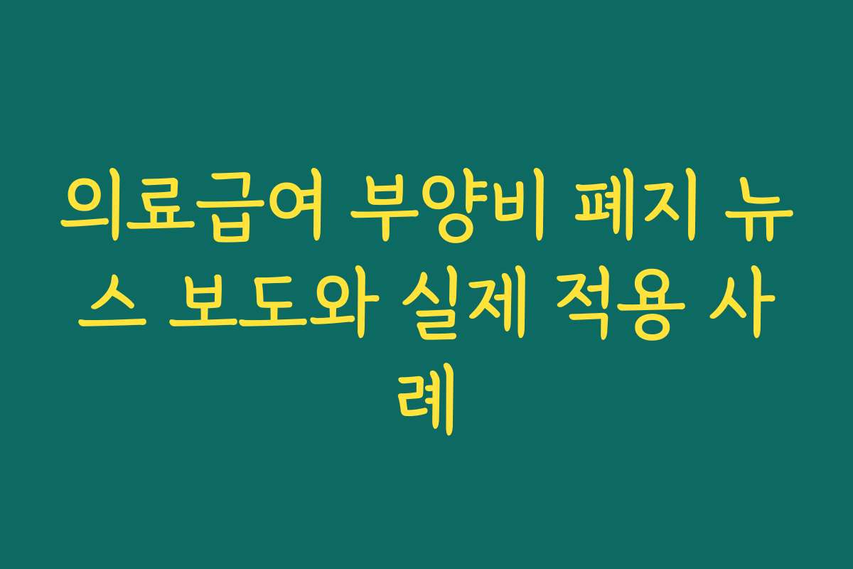 의료급여 부양비 폐지 뉴스 보도와 실제 적용 사례