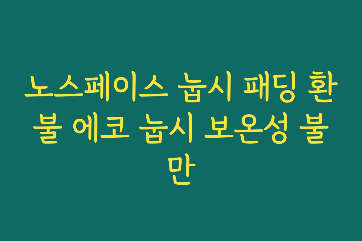 노스페이스 눕시 패딩 환불 에코 눕시 보온성 불만