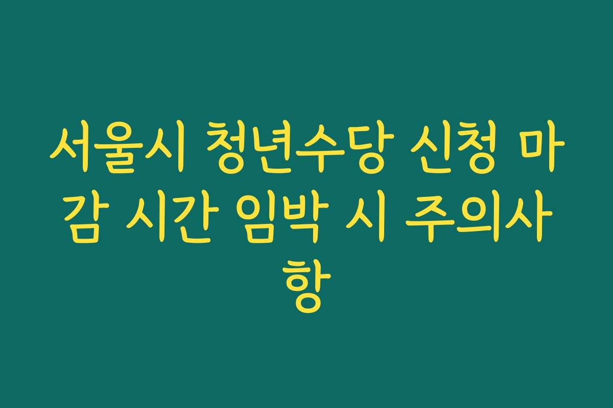 서울시 청년수당 신청 마감 시간 임박 시 주의사항