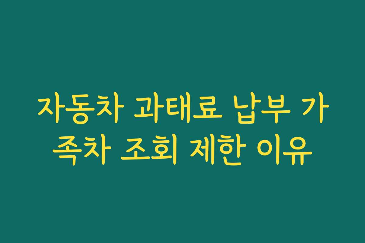 자동차 과태료 납부 가족차 조회 제한 이유