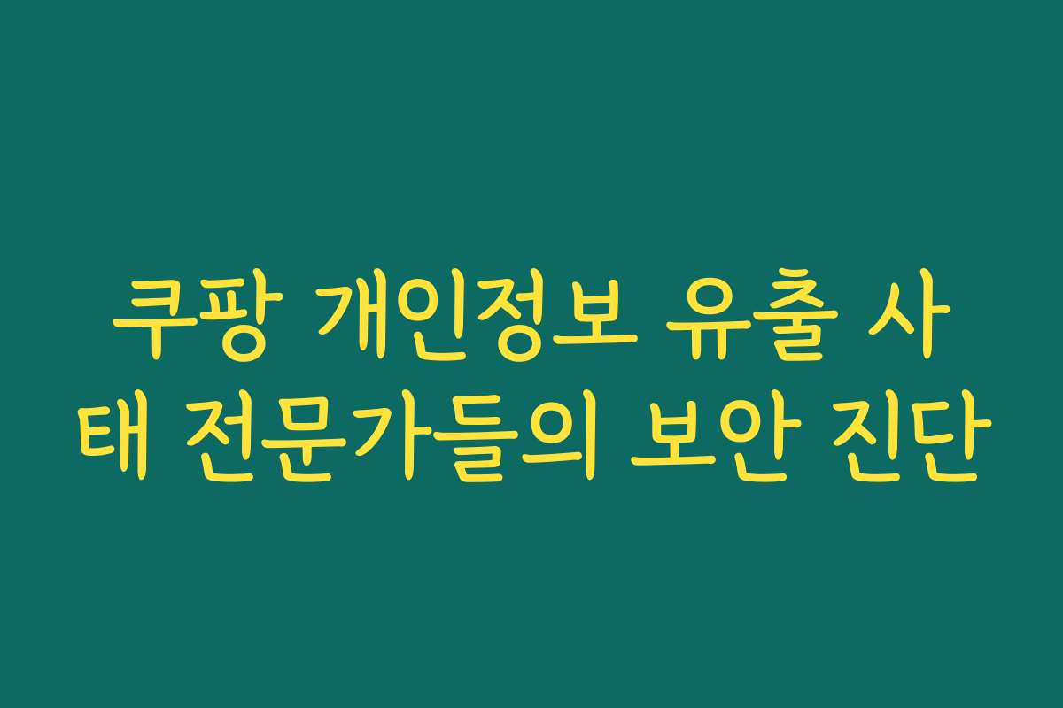 쿠팡 개인정보 유출 사태 전문가들의 보안 진단