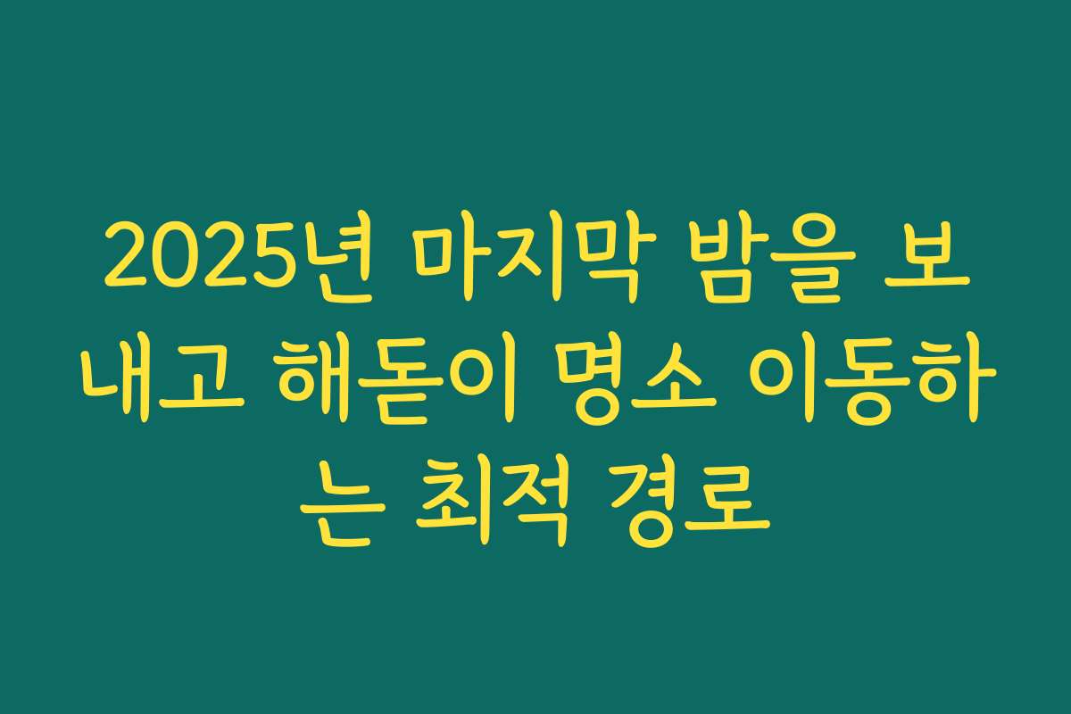 2025년 마지막 밤을 보내고 해돋이 명소 이동하는 최적 경로