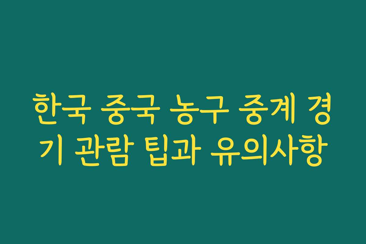 한국 중국 농구 중계 경기 관람 팁과 유의사항