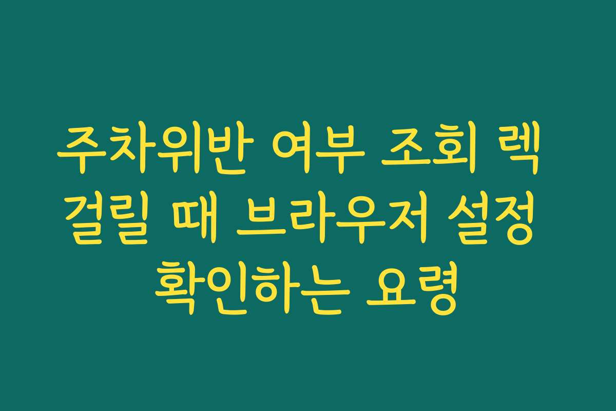 주차위반 여부 조회 렉 걸릴 때 브라우저 설정 확인하는 요령