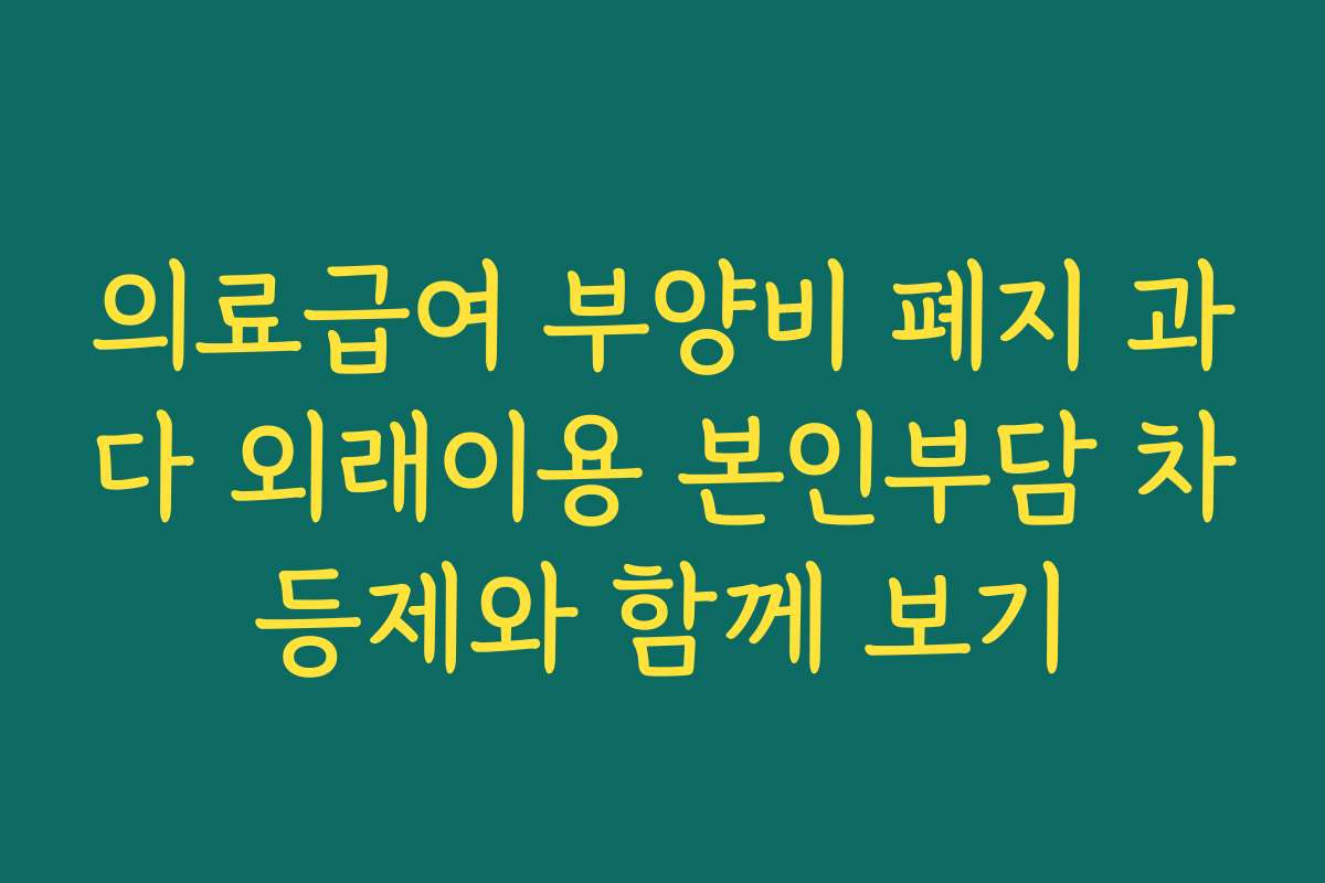 의료급여 부양비 폐지 과다 외래이용 본인부담 차등제와 함께 보기