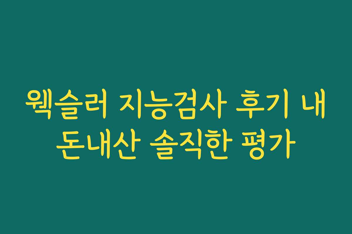 웩슬러 지능검사 후기 내돈내산 솔직한 평가