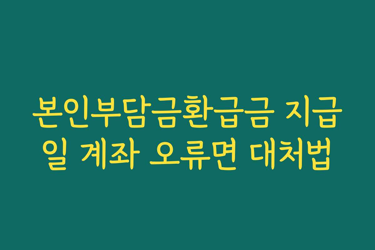 본인부담금환급금 지급일 계좌 오류면 대처법