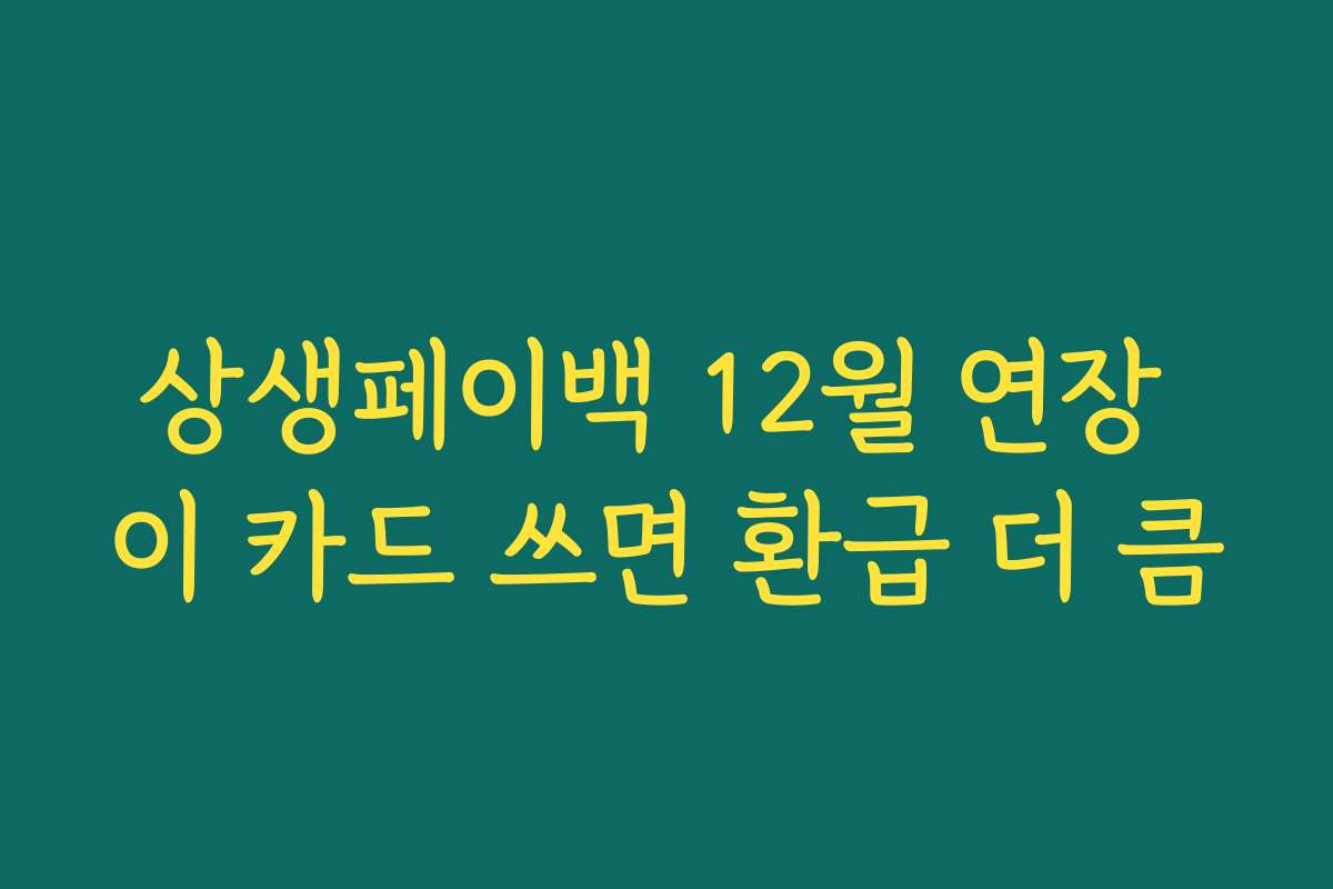 상생페이백 12월 연장 이 카드 쓰면 환급 더 큼