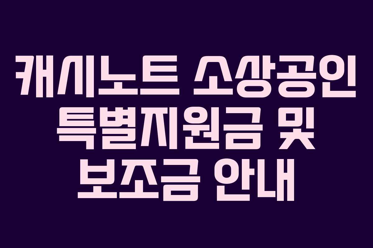 캐시노트 소상공인 특별지원금 및 보조금 안내