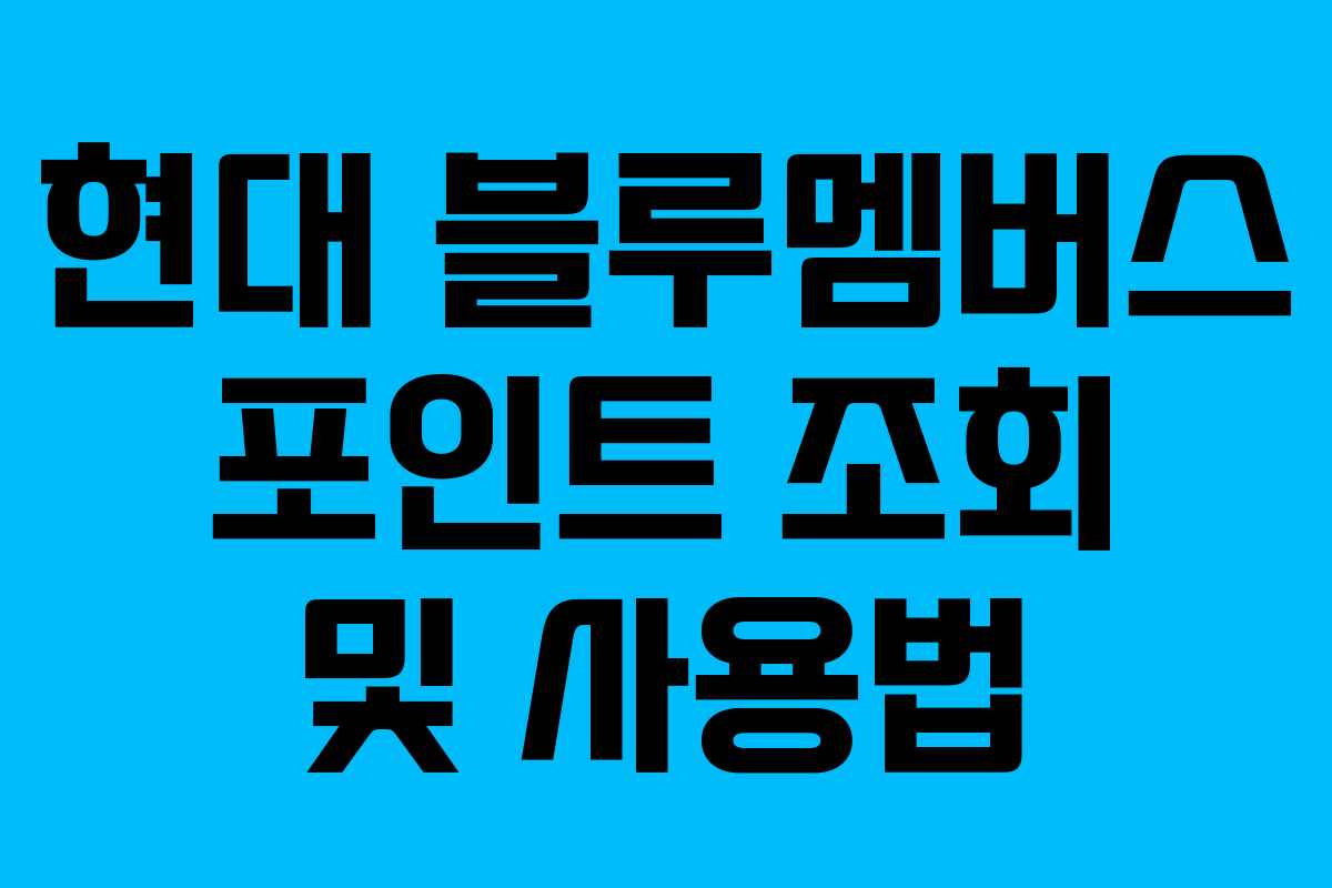 현대 블루멤버스 포인트 조회 및 사용법