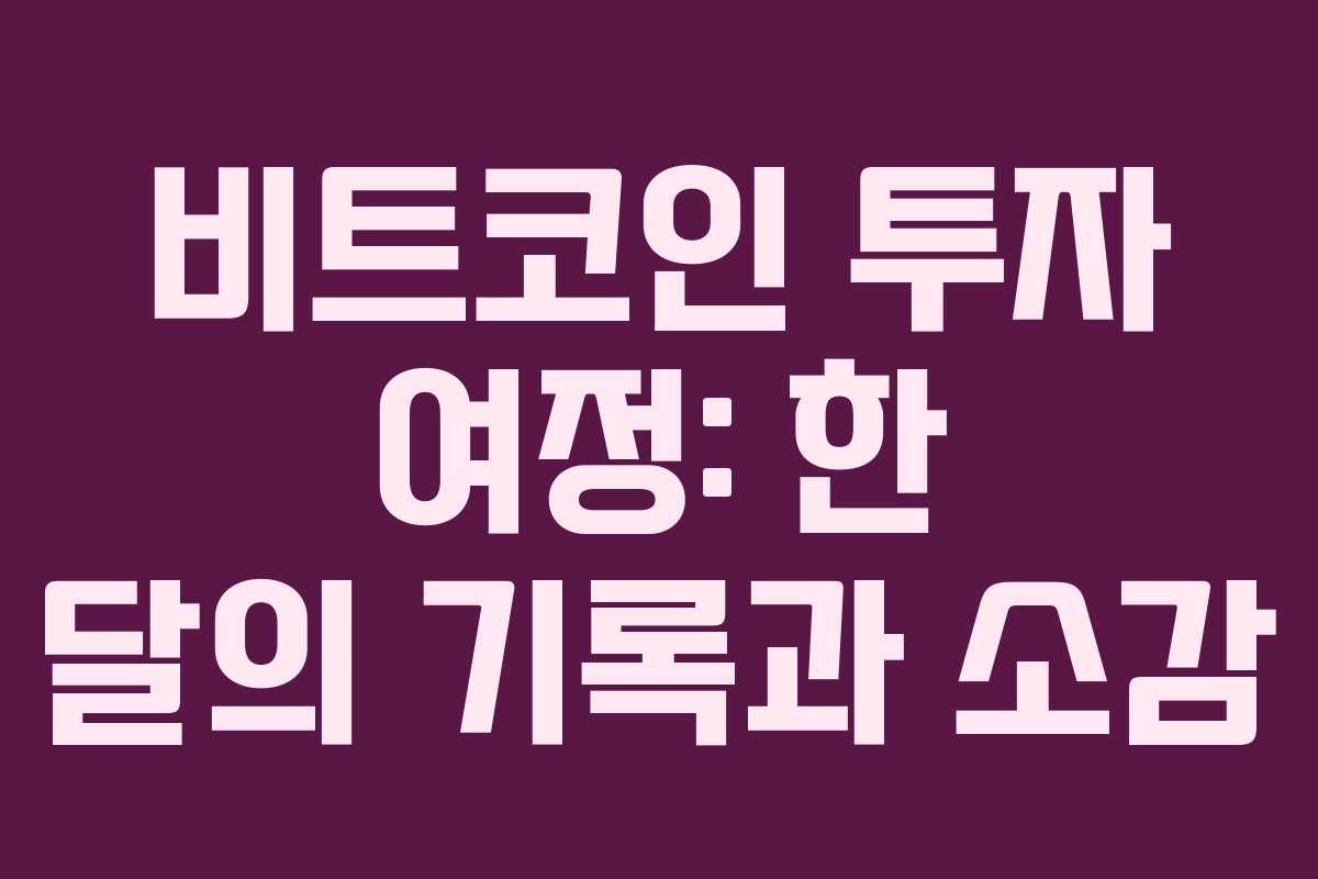 비트코인 투자 여정: 한 달의 기록과 소감
