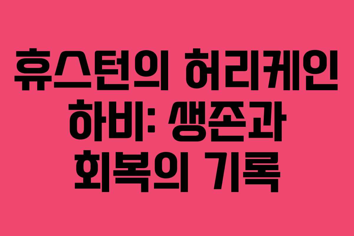 휴스턴의 허리케인 하비: 생존과 회복의 기록