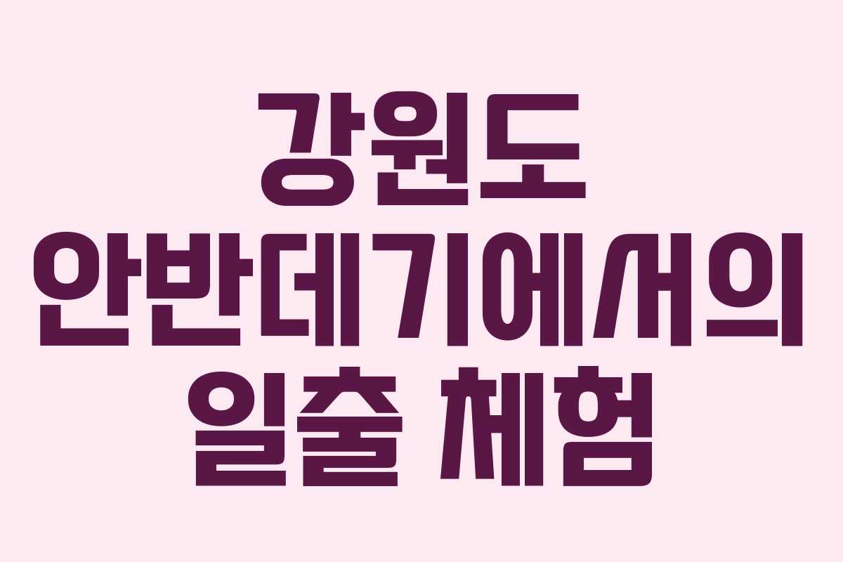 강원도 안반데기에서의 일출 체험