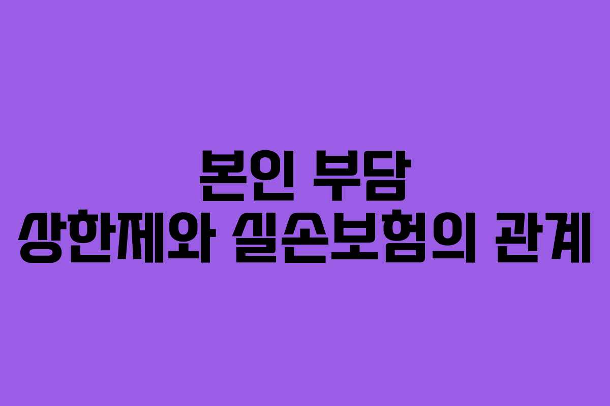 본인 부담 상한제와 실손보험의 관계