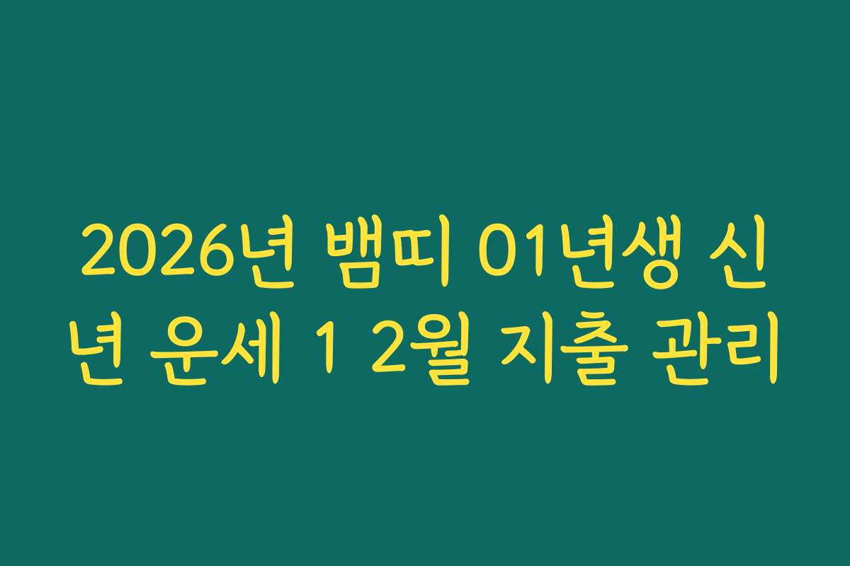 2026년 뱀띠 01년생 신년 운세 1 2월 지출 관리