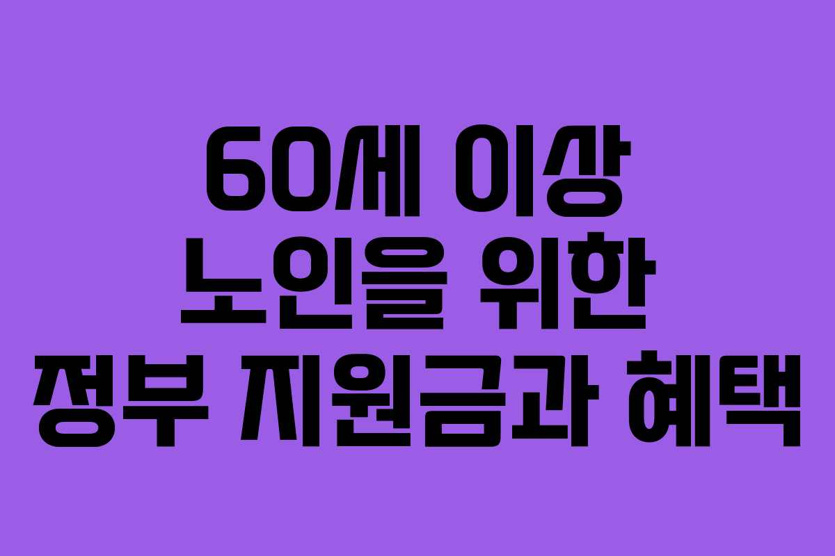 60세 이상 노인을 위한 정부 지원금과 혜택