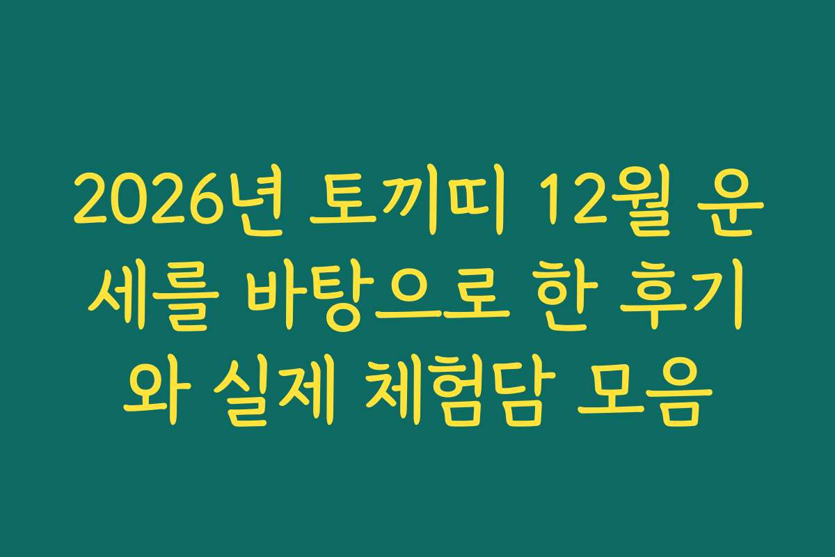 2026년 토끼띠 12월 운세를 바탕으로 한 후기와 실제 체험담 모음