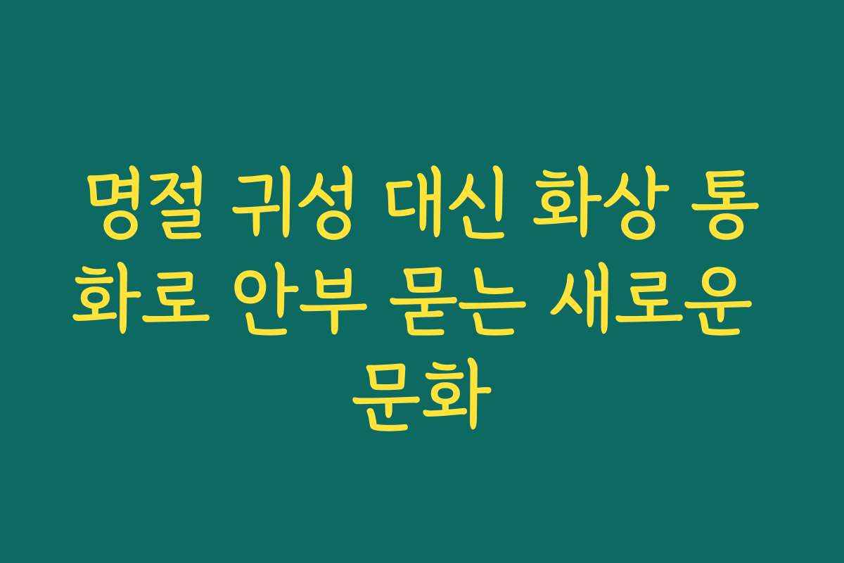 명절 귀성 대신 화상 통화로 안부 묻는 새로운 문화