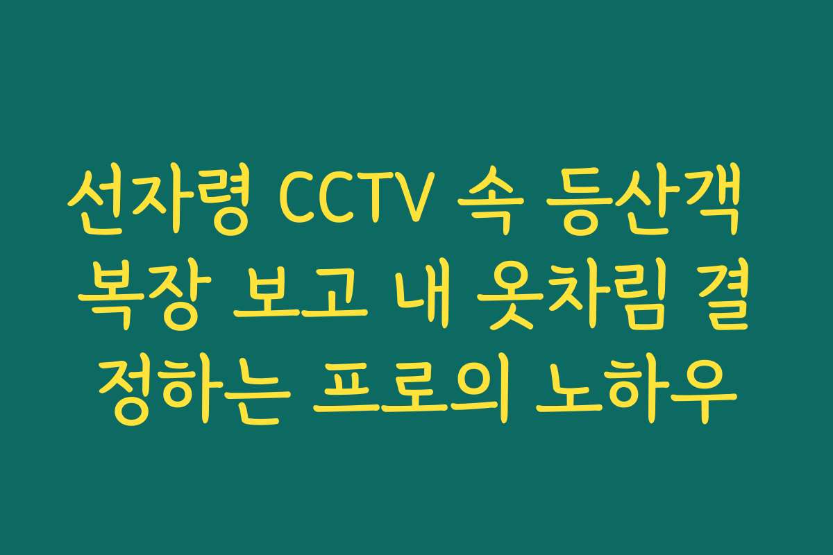 선자령 CCTV 속 등산객 복장 보고 내 옷차림 결정하는 프로의 노하우