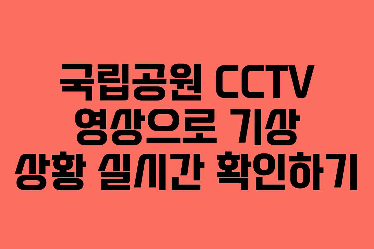 국립공원 CCTV 영상으로 기상 상황 실시간 확인하기