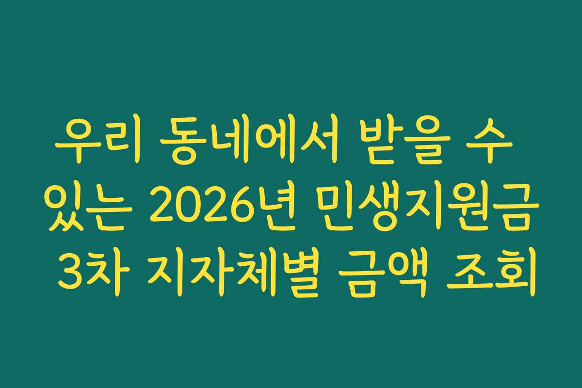 우리 동네에서 받을 수 있는 2026년 민생지원금 3차 지자체별 금액 조회