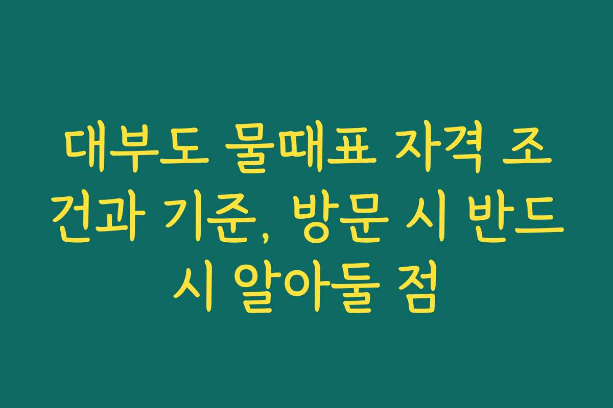 대부도 물때표 자격 조건과 기준, 방문 시 반드시 알아둘 점