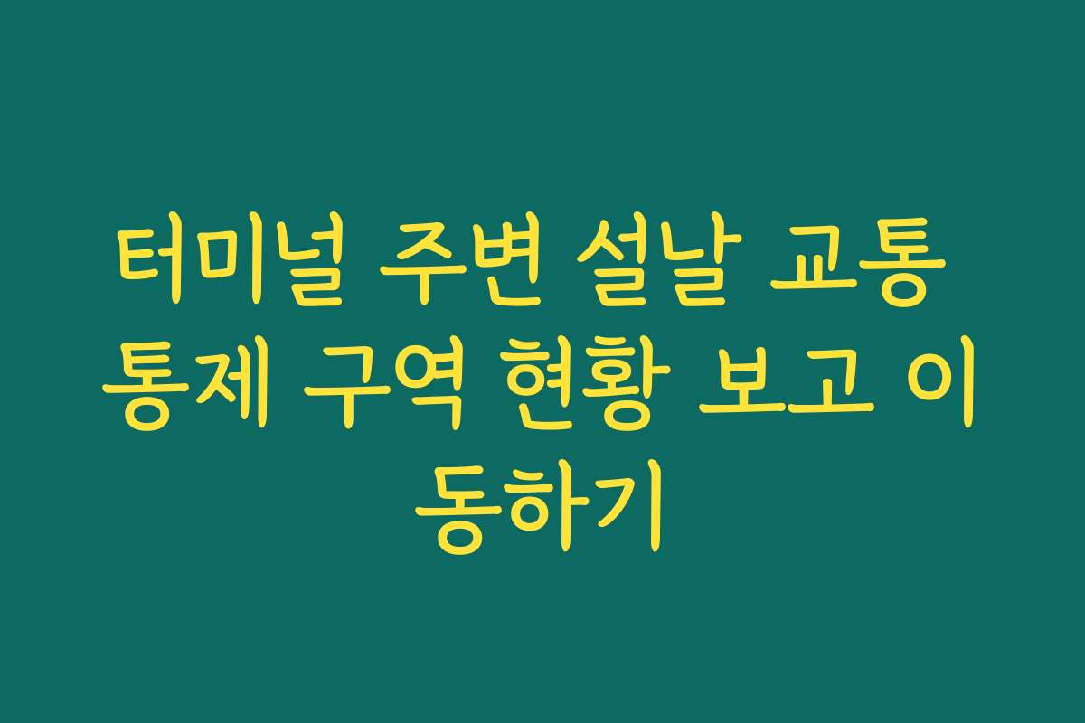 터미널 주변 설날 교통 통제 구역 현황 보고 이동하기